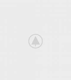 wood-gallery-placeholder-5 wood-gallery-placeholder-5