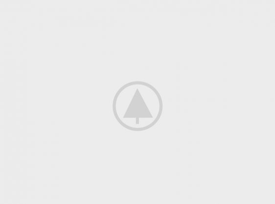 wood-gallery-placeholder-5 wood-gallery-placeholder-5