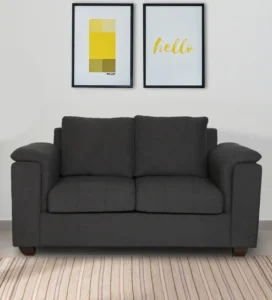 Woodsfreak Furniture | Elimon 2 Seater |  Premium Manual Recliner | Blue Color