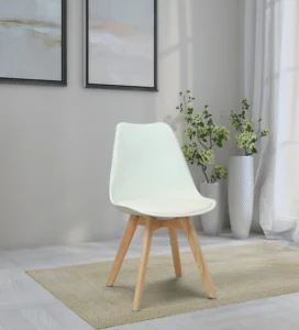 Trendy Plastic Cafe Chair in White Colour